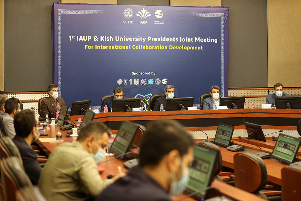  IAUP-ის და KUP-ის ჯგუფების ონლაინ შეხვედრა